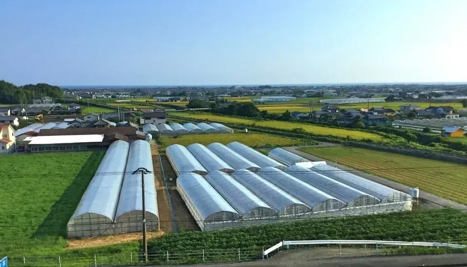 農業資材・飼料